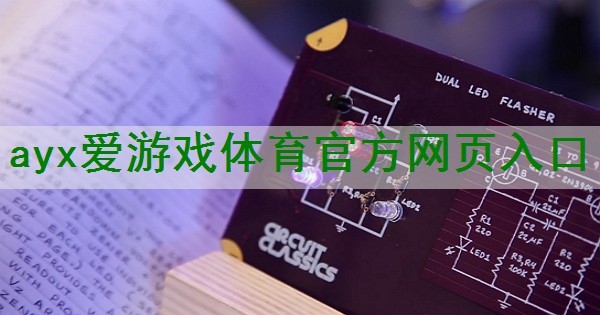 <strong>ayx爱游戏体育官方网页：提升品质、享受生活：电子管小功率放大器的功能与用途</strong>